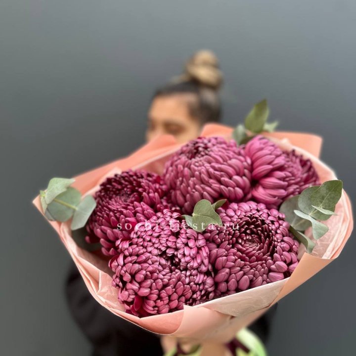 Хризантемы  Бигуди  в Барнауле