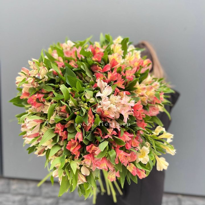 51 альстромерия в Барнауле