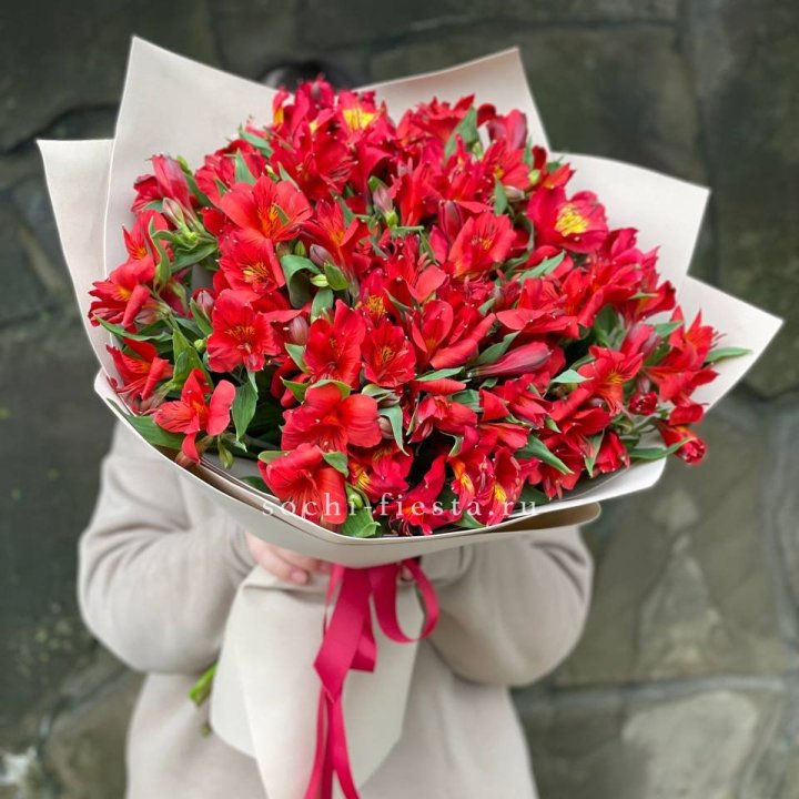 51 альстромерия в Барнауле