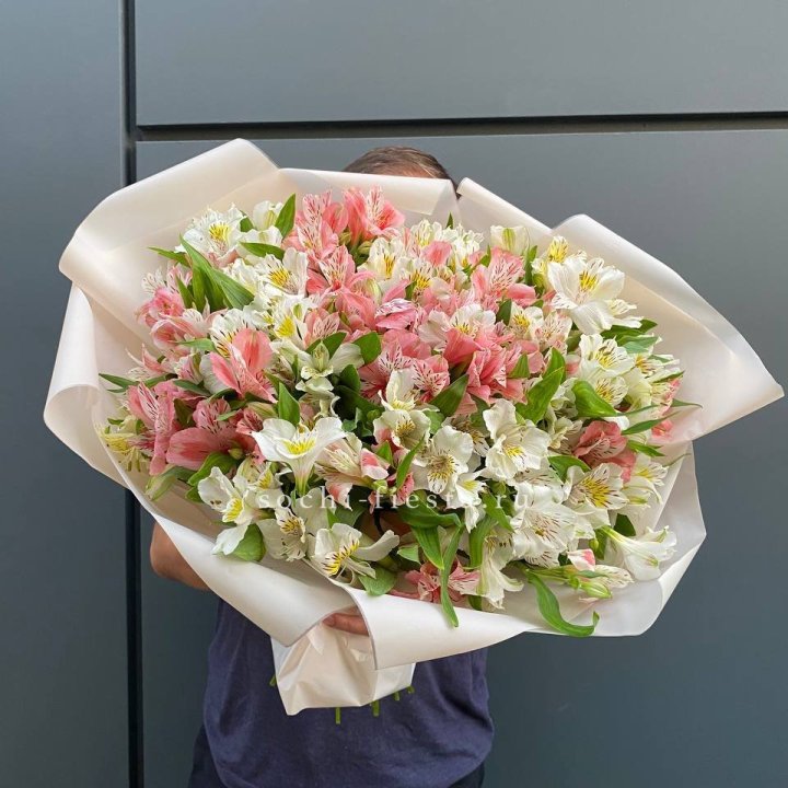 39 альстромерий в Барнауле