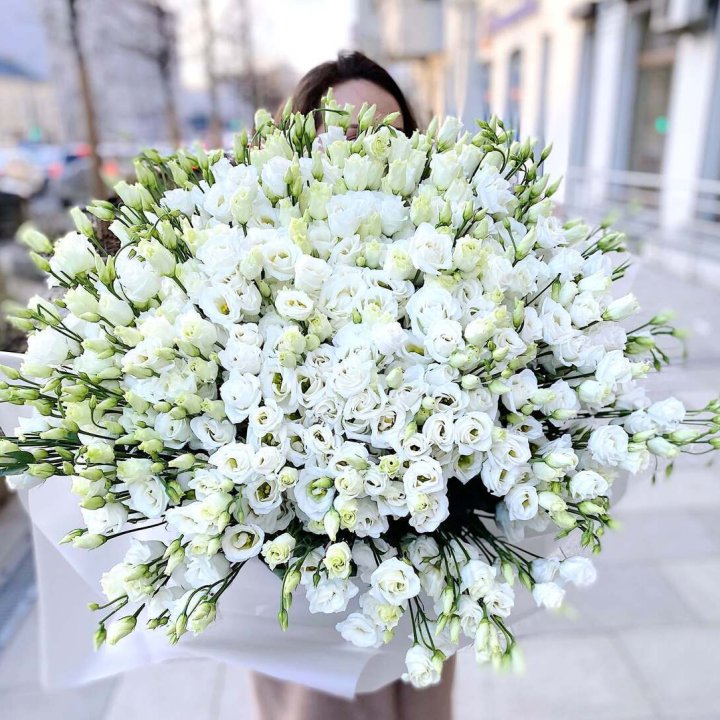 101 белая эустома в Барнауле