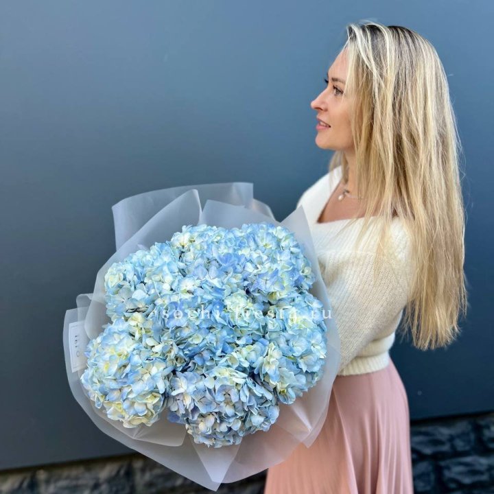 7 голубых гортензий в Барнауле