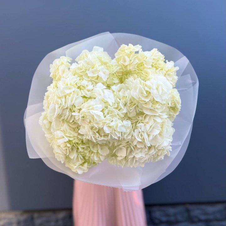 7 белых гортензий в Барнауле