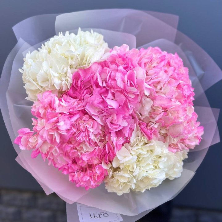 5 бело-розовых гортензий в Барнауле
