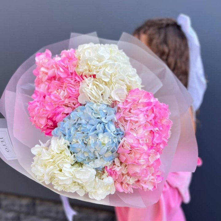 7 гортензий микс в Барнауле