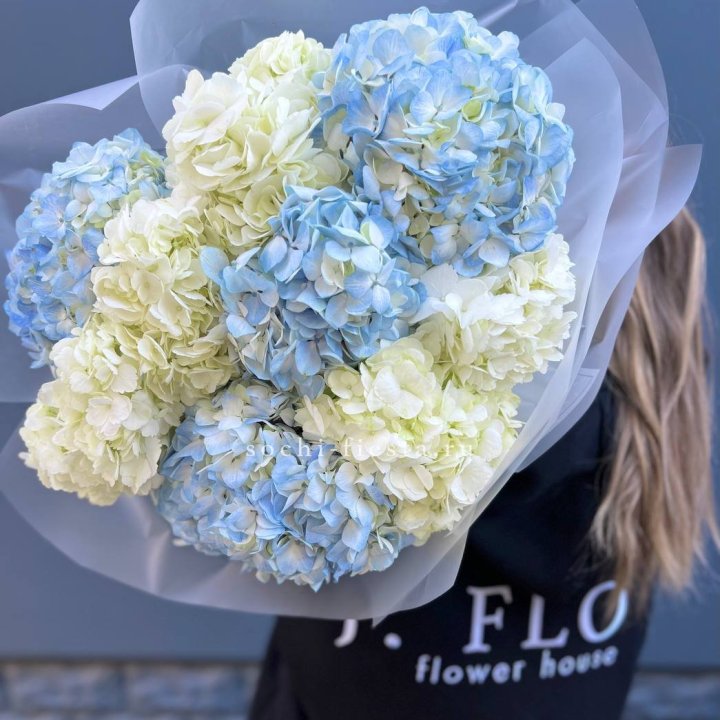9 бело-голубых гортензий в Барнауле
