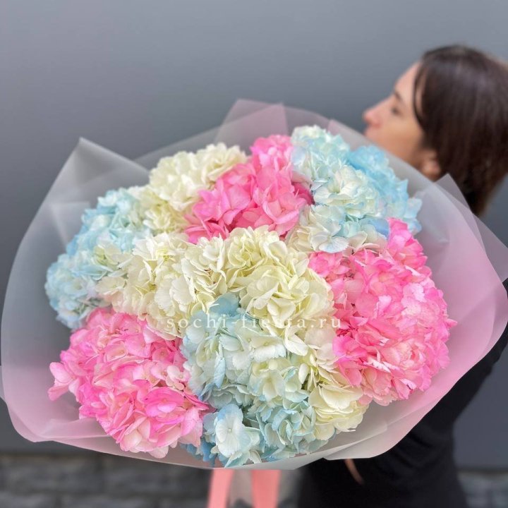 9 гортензий микс в Барнауле