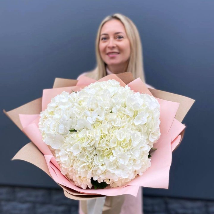 Гортензия белая в Барнауле