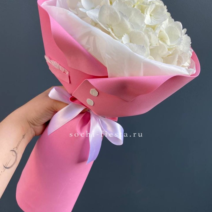 Гортензия в розовом пиджаке в Барнауле