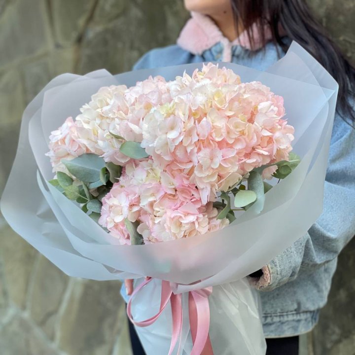 5 розовых гортензий в Барнауле