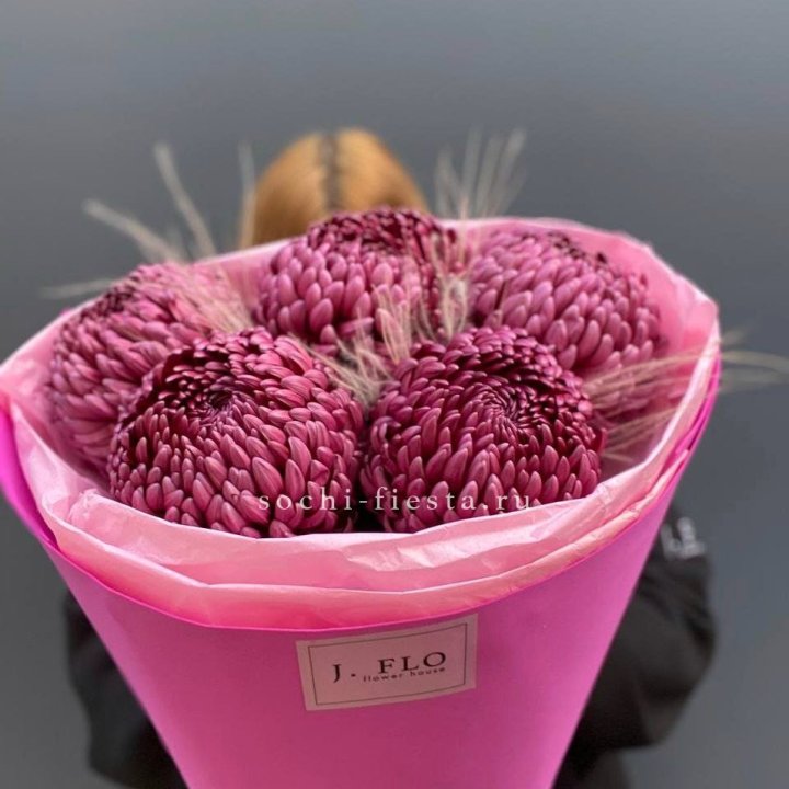 Хризантемы  Бигуди с стифой в Барнауле