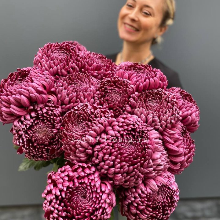 Охапка хризантем Бигуди в Барнауле