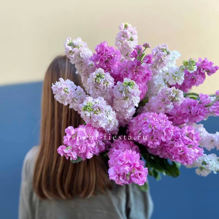 Охапка маттиолы в Барнауле