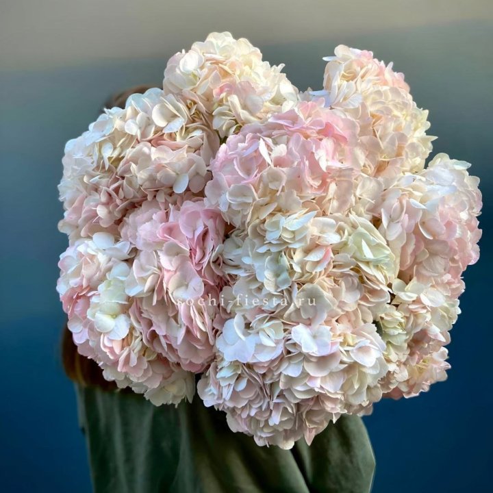 Охапка розовой гортензии в Барнауле