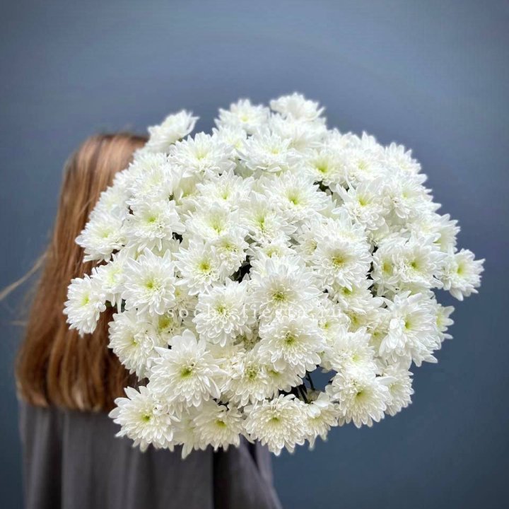 Охапка Хризантемы кустовой в Барнауле