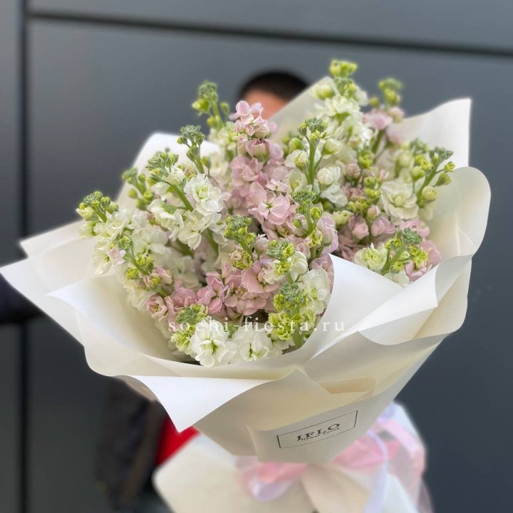 29 маттиол  в Барнауле