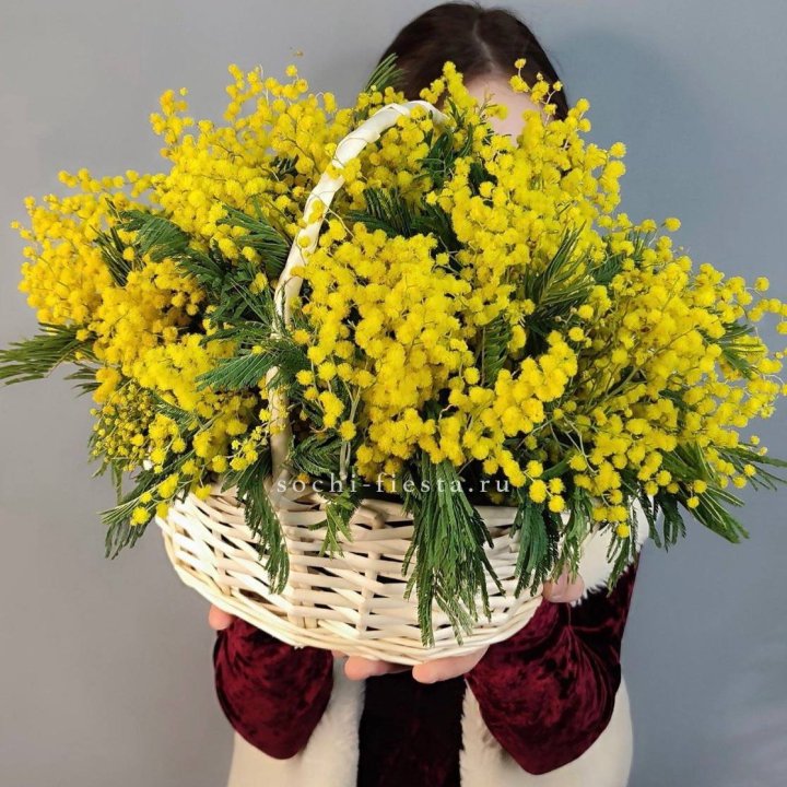 Корзина ароматной мимозы в Барнауле