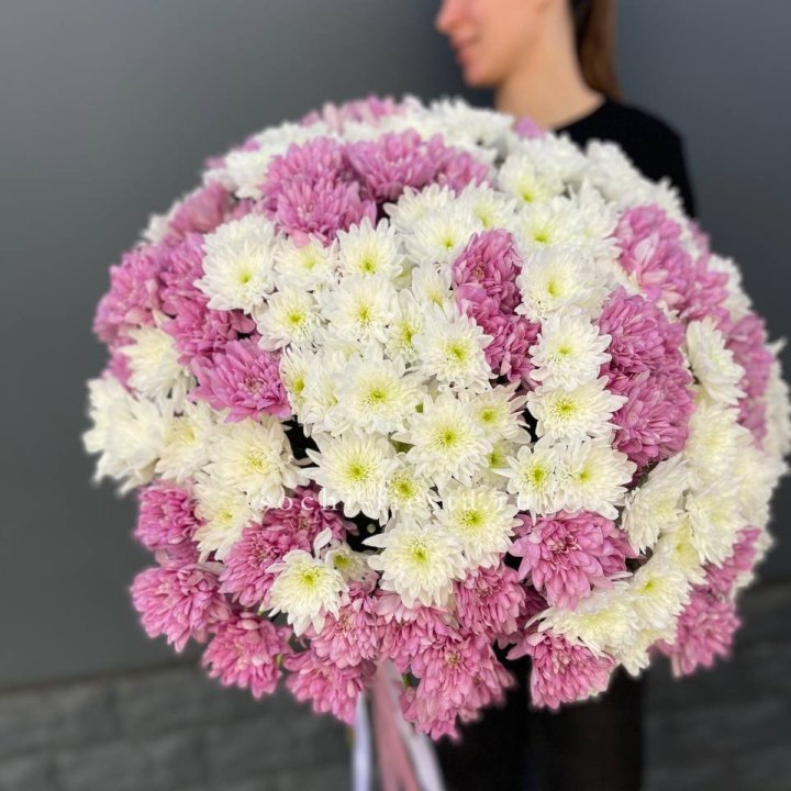  Букет 25 хризантем микс в Барнауле