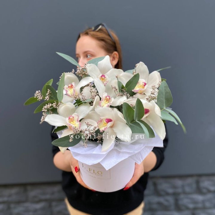 7 орхидей в боксе в Барнауле