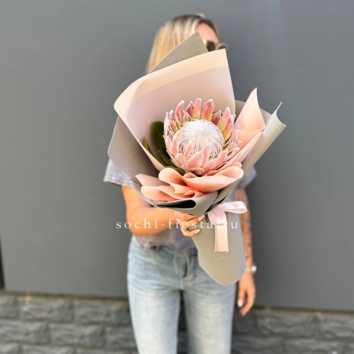 Протея мини  в Барнауле