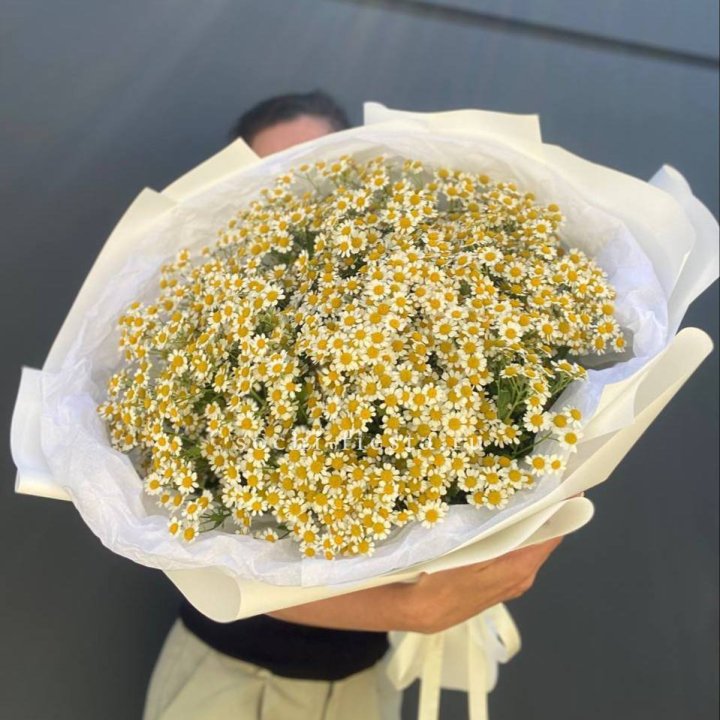 Букет ромашек №2 в Барнауле