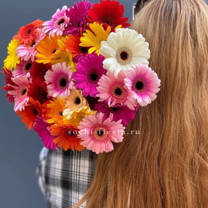 Охапка гербер  в Барнауле