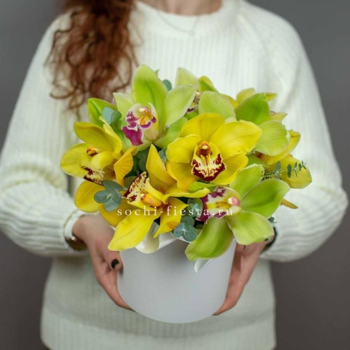 Бокс с орхидей №1 в Барнауле