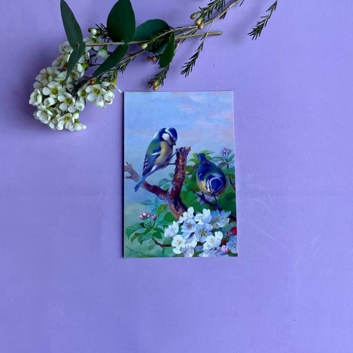 Открытка к букету "Птицы" в Барнауле