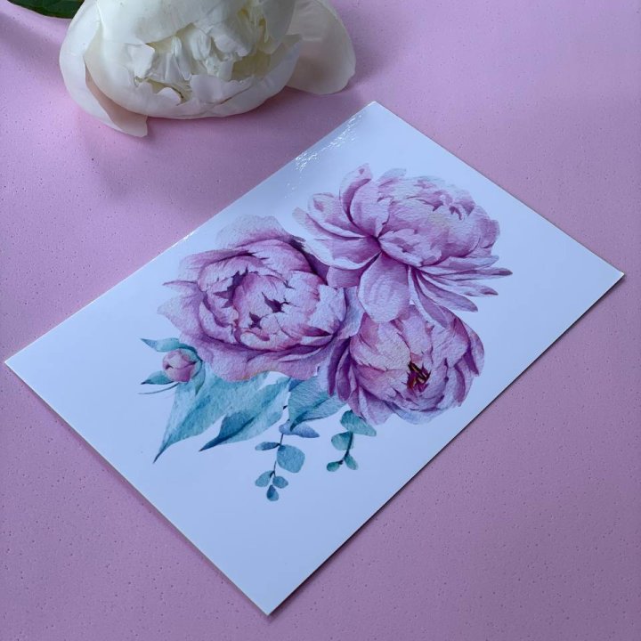 Открытка к букету "Пионы" в Барнауле