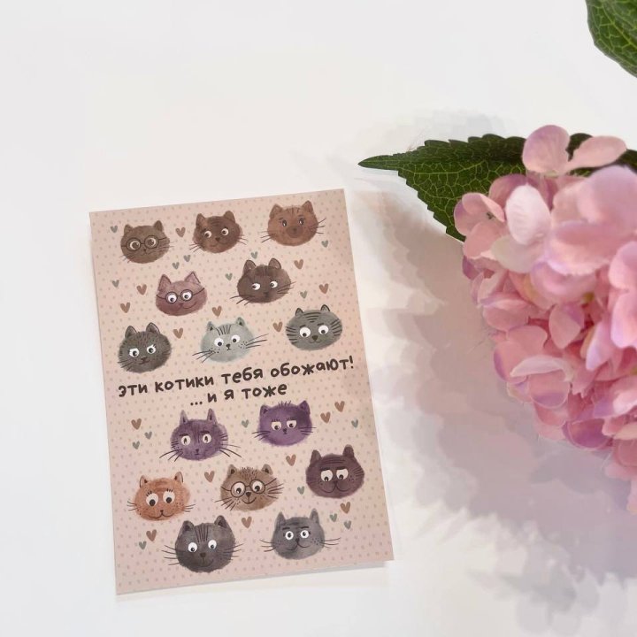 Открытка к букету "Котики" в Барнауле
