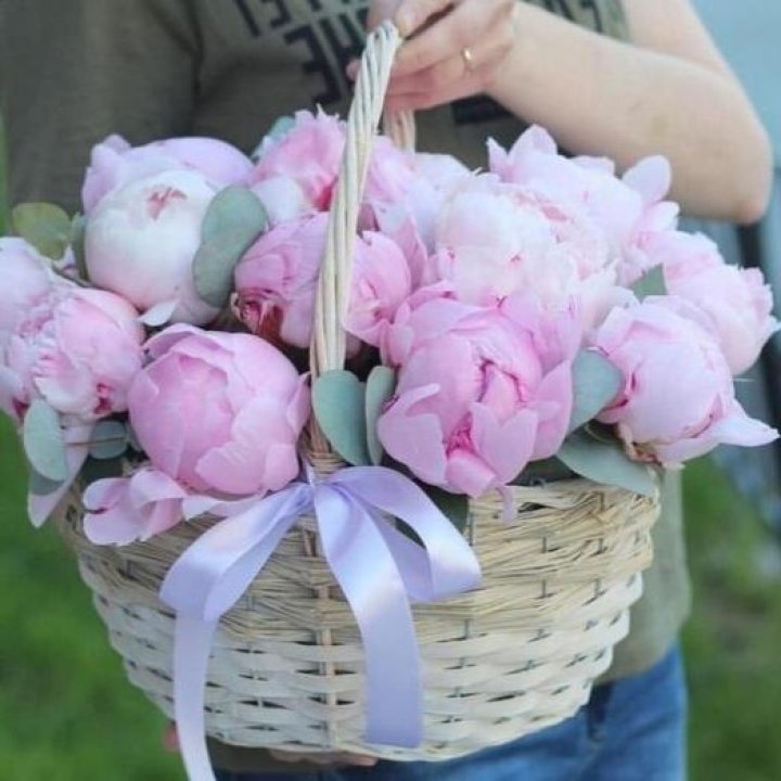 15 пионов в корзине в Барнауле