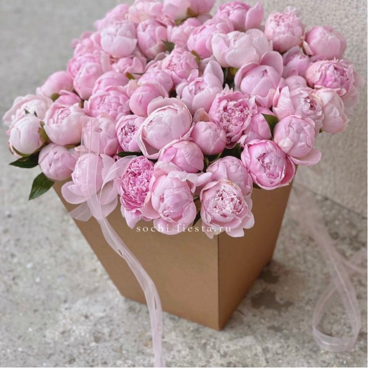 49 пионов в крафт коробке в Барнауле