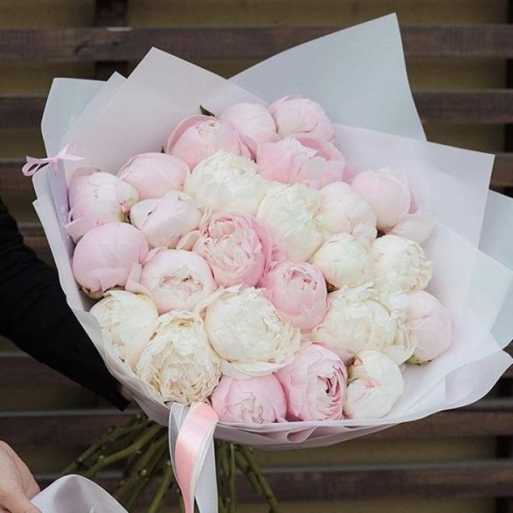 29 пионов в Барнауле