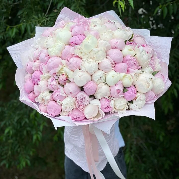 101 пион в Барнауле