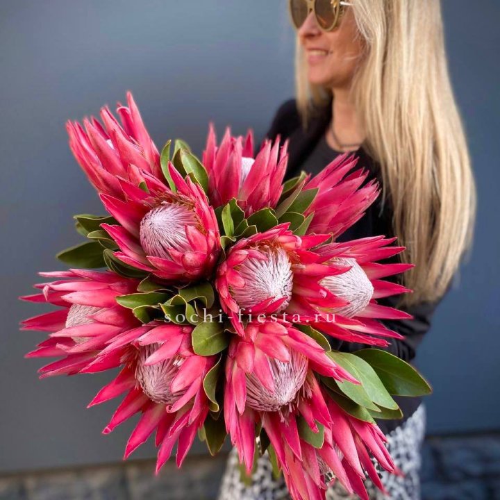 Протея штучно в Барнауле