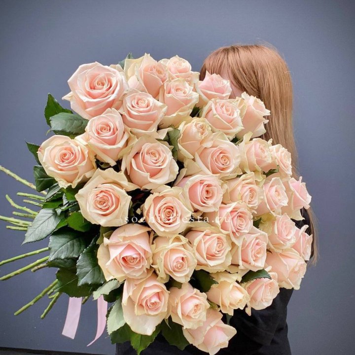35 кремовых высоких роз в Барнауле