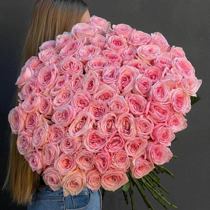 75 роз Охара в Барнауле