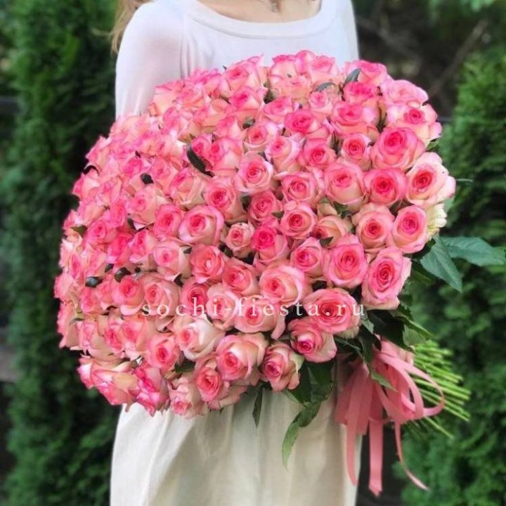 101  джумилия роза  в Барнауле