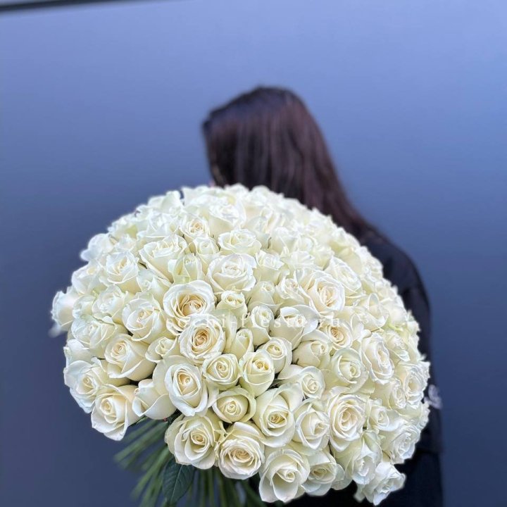 Охапка из 101 белой розы  в Барнауле