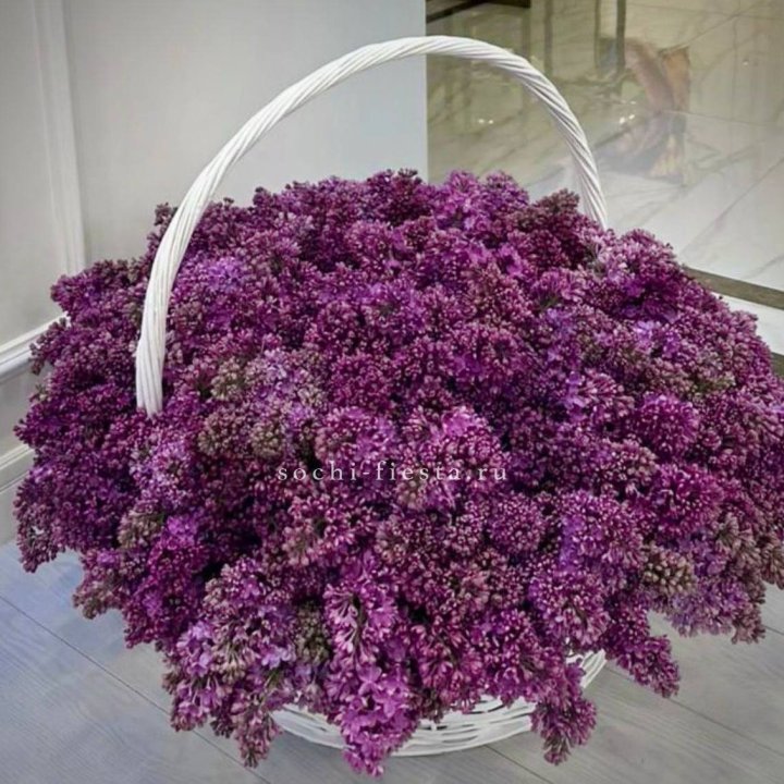 Корзина сирени в Барнауле