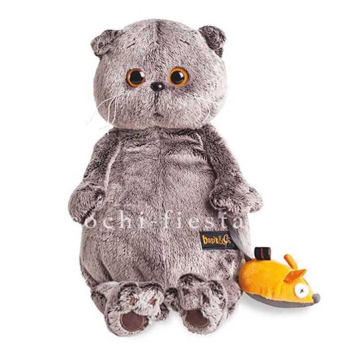 Кот Басик с мышкой в Барнауле