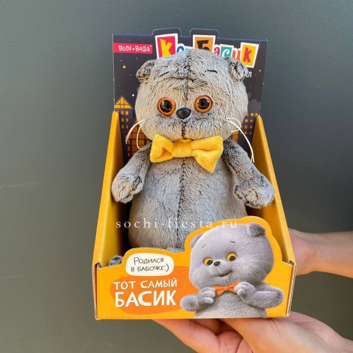 Кот Басик с бабочкой в Барнауле