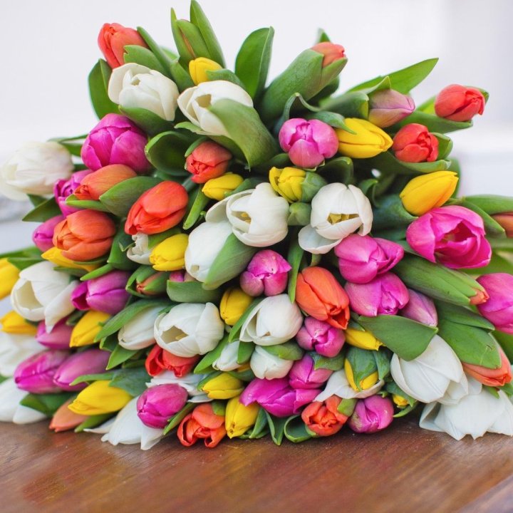 79 тюльпанов "Рандом" в Барнауле