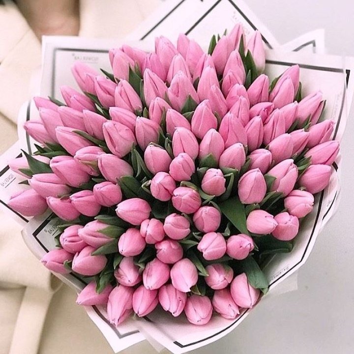 101 розовый тюльпан в белом в Барнауле