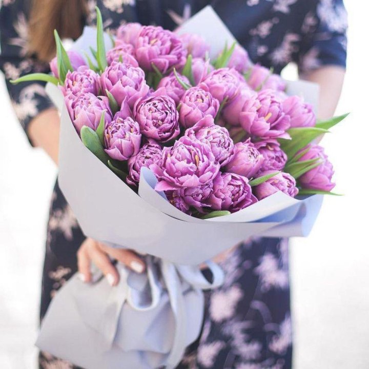 Тюльпаны "Пионс" в Барнауле