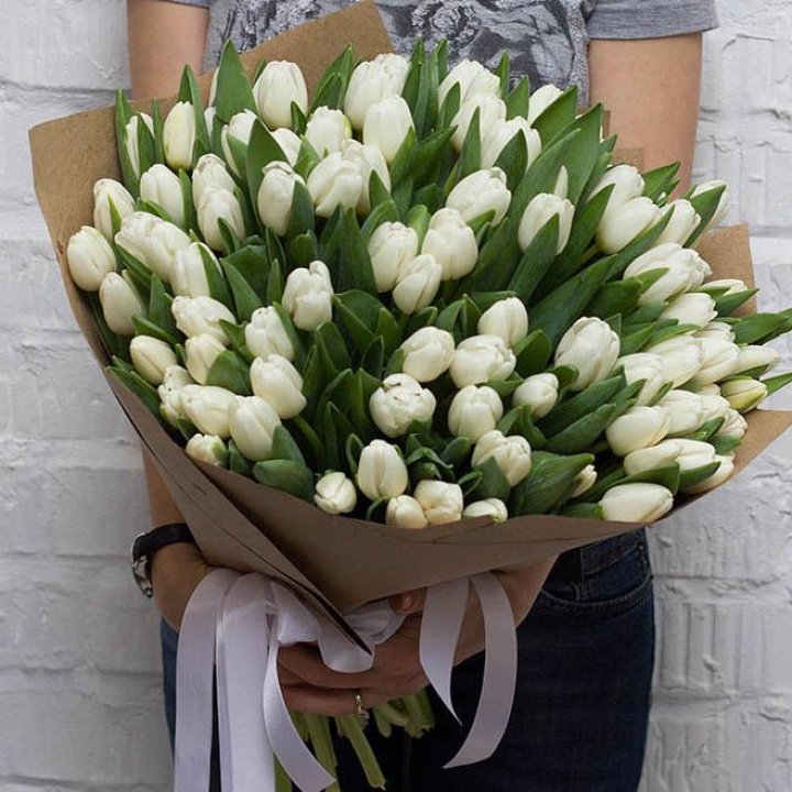 101 тюльпан сноу в Барнауле