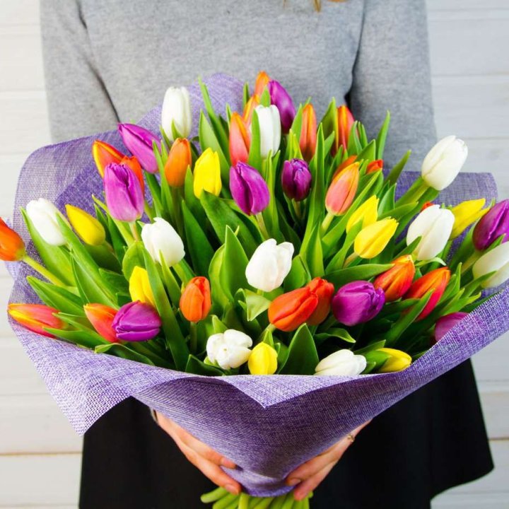 51 тюльпан "Рандом" №2 в Барнауле