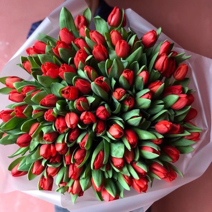 101 красный тюльпан в Барнауле